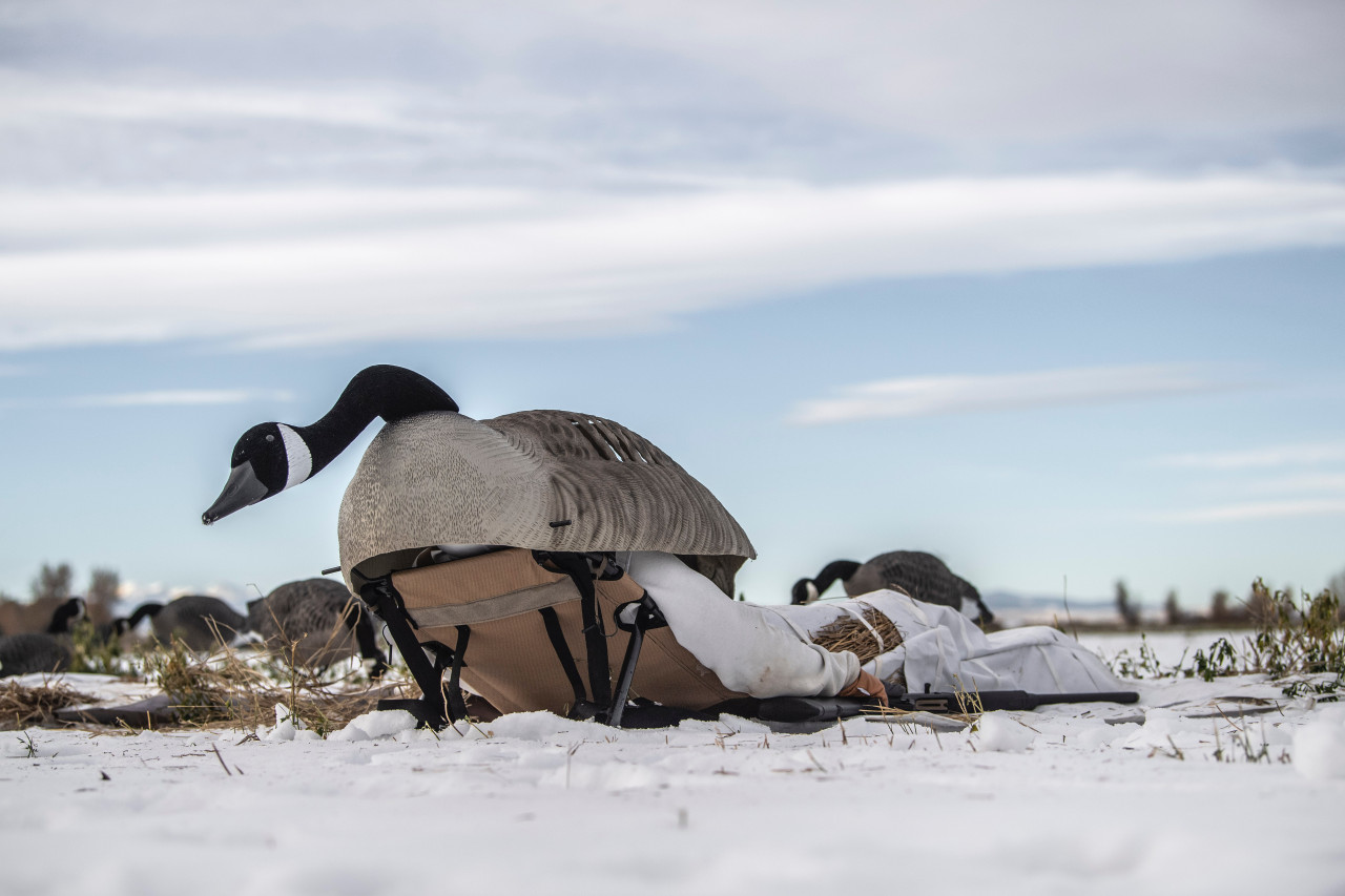 Waterfowl Accessories Lucky Duck Decoys
