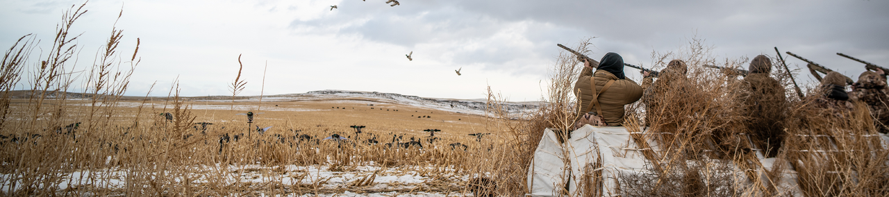 Field Hunting