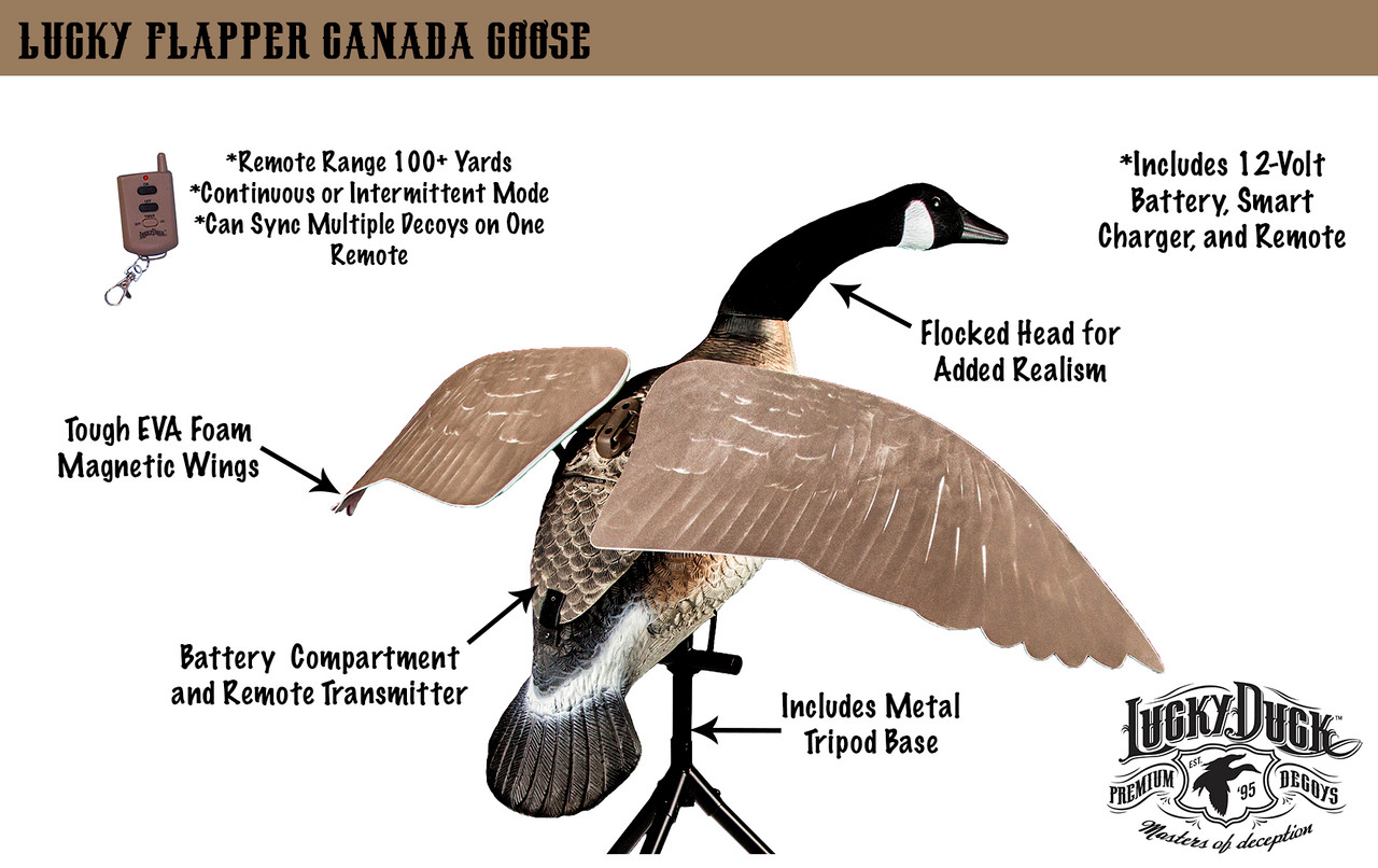 Motorized Flapper Decoy Lucky Duck Decoys