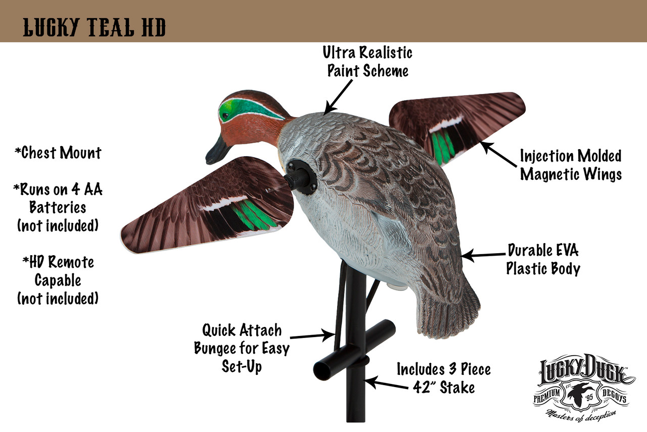 Green Wing Teal Spinner | Lucky Duck Decoys