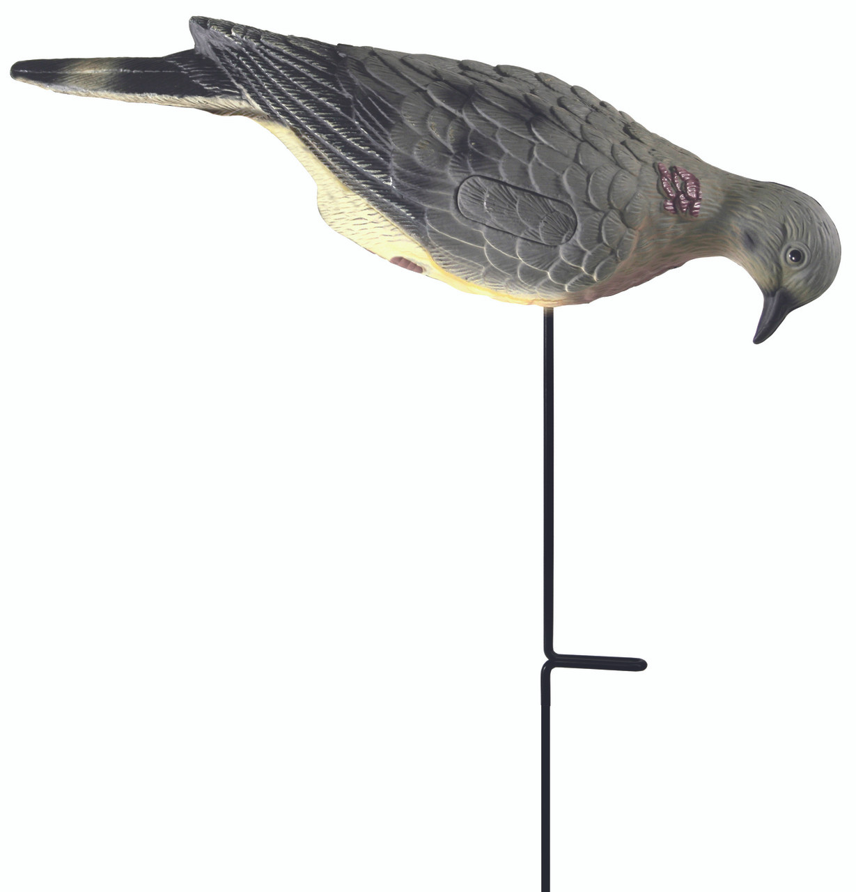Realistic And Affordable Dove Feeder Decoys Lucky Duck Decoys