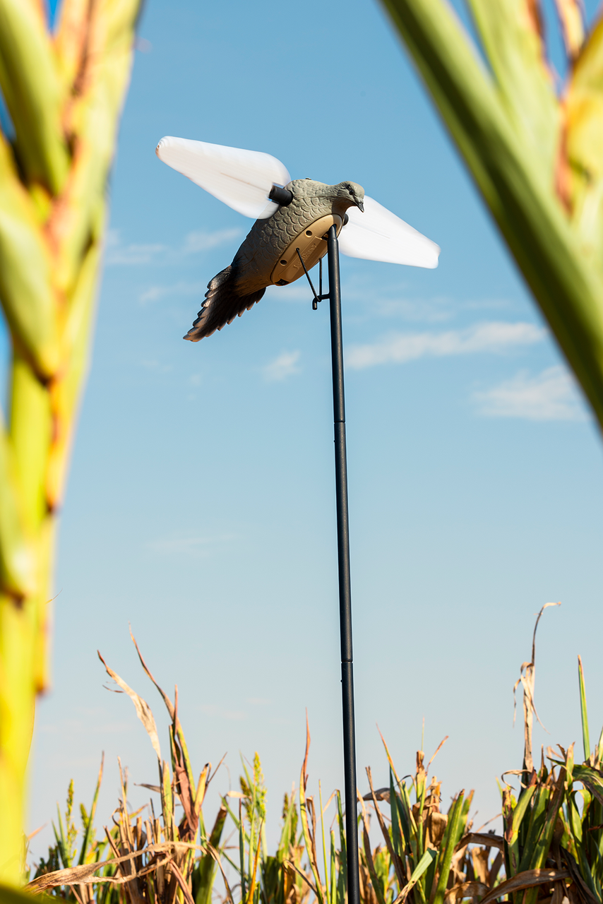 Lucky Dove HD | Lucky Duck Decoys