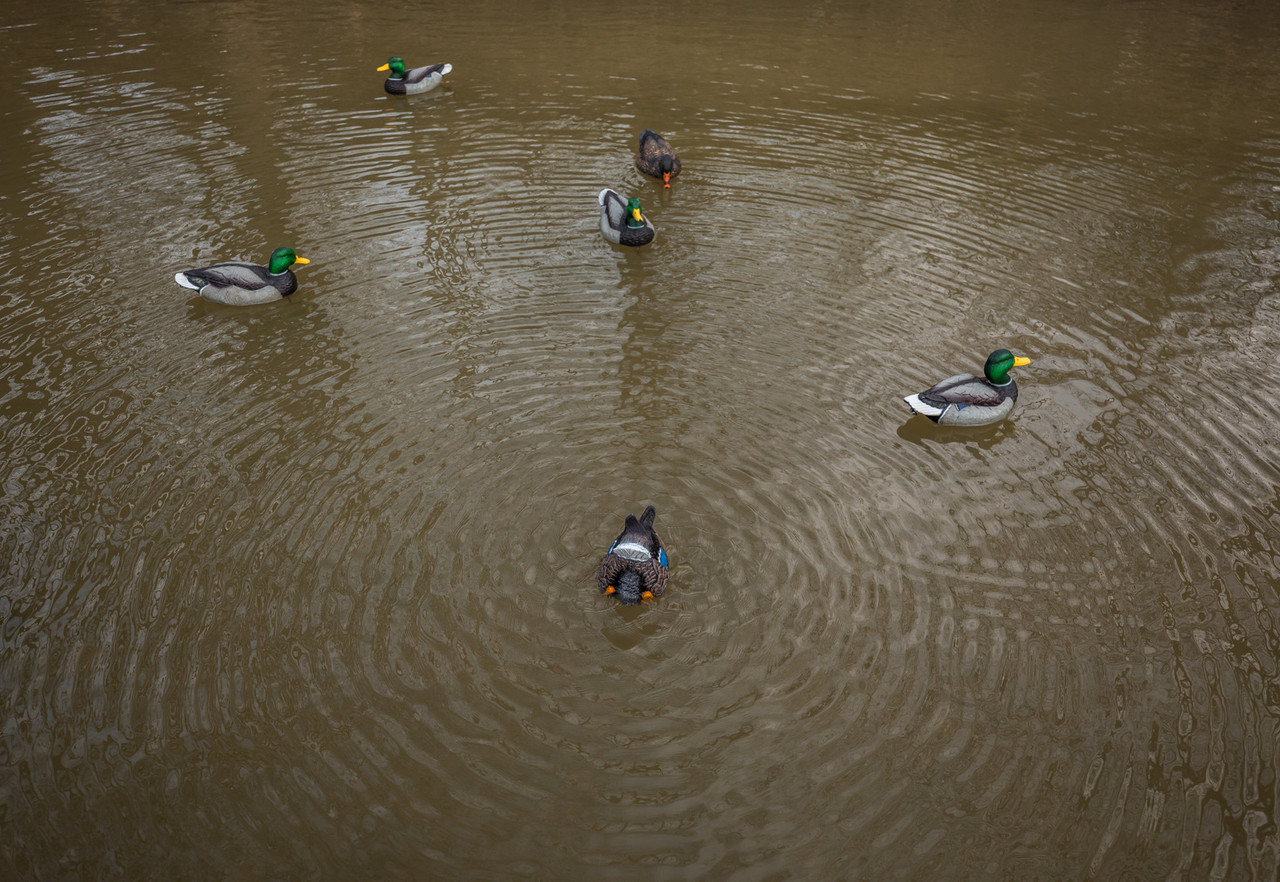 Lucky Duck Quiver Duck Butt - Thumbnail 3