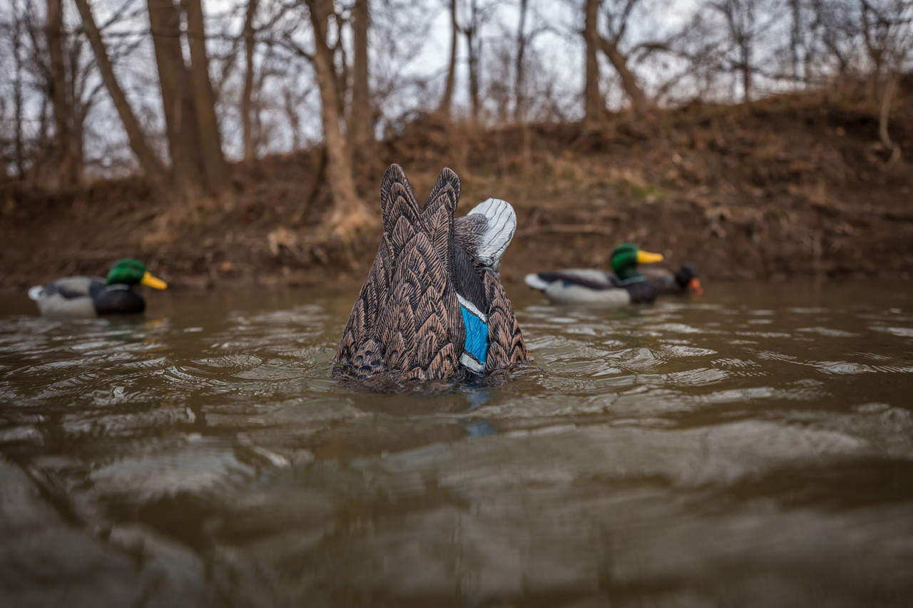 Lucky Duck Quiver Duck Butt