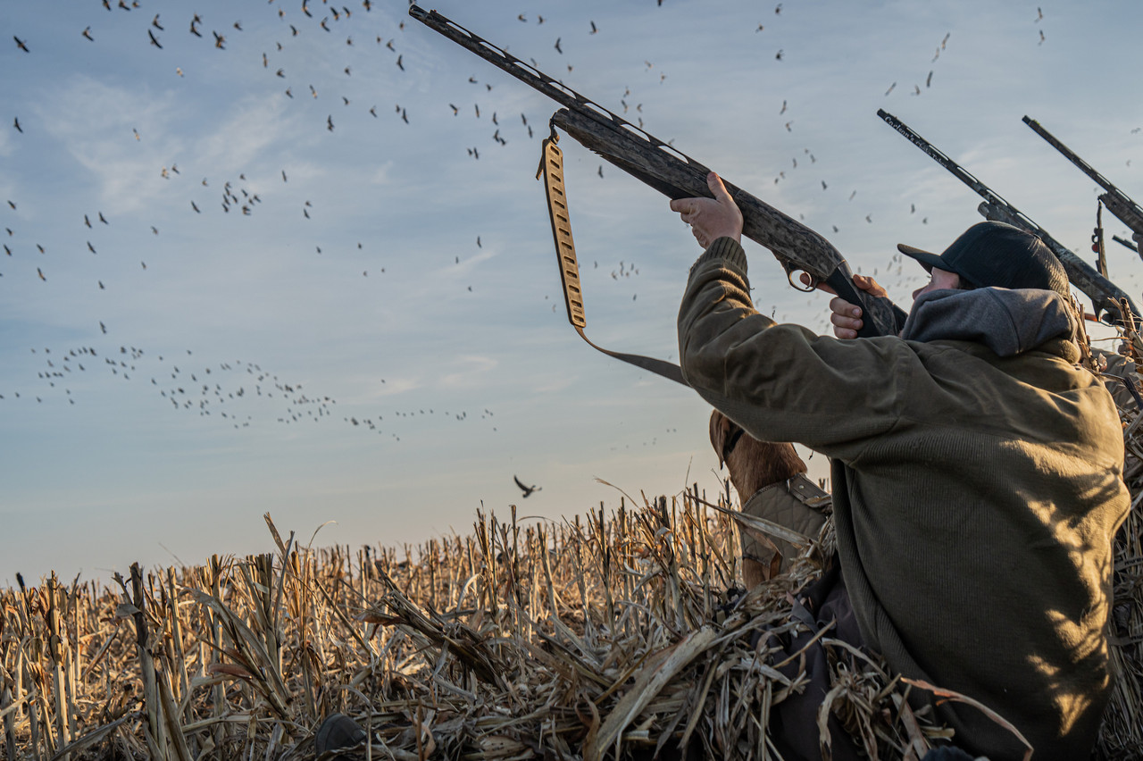 Lucky Duck Gear Down Blind 3.0 - Thumbnail 4