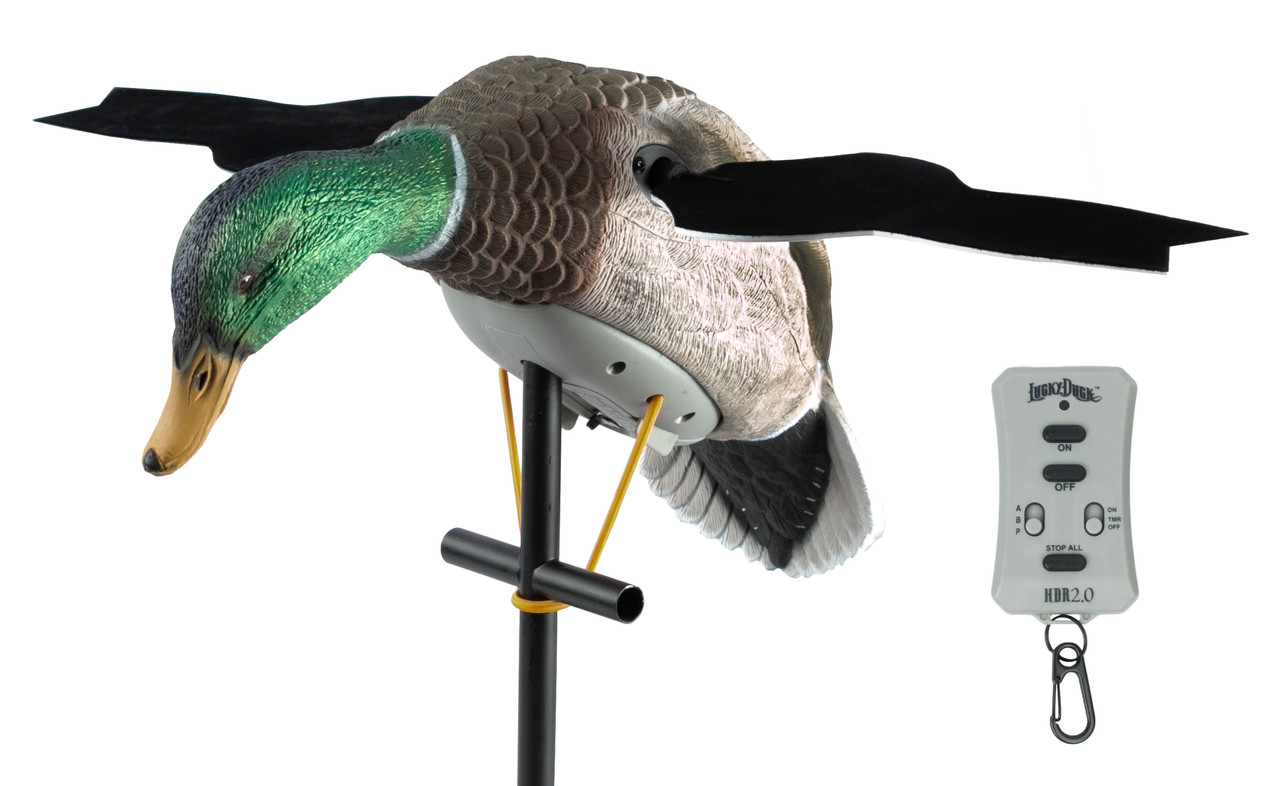 Shop Lucky XHDI Motion Decoy for Maximum Attraction