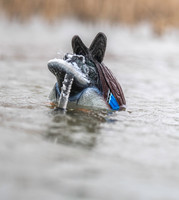 Lucky HDi Agitator 2.0 w/ Remote 2.0