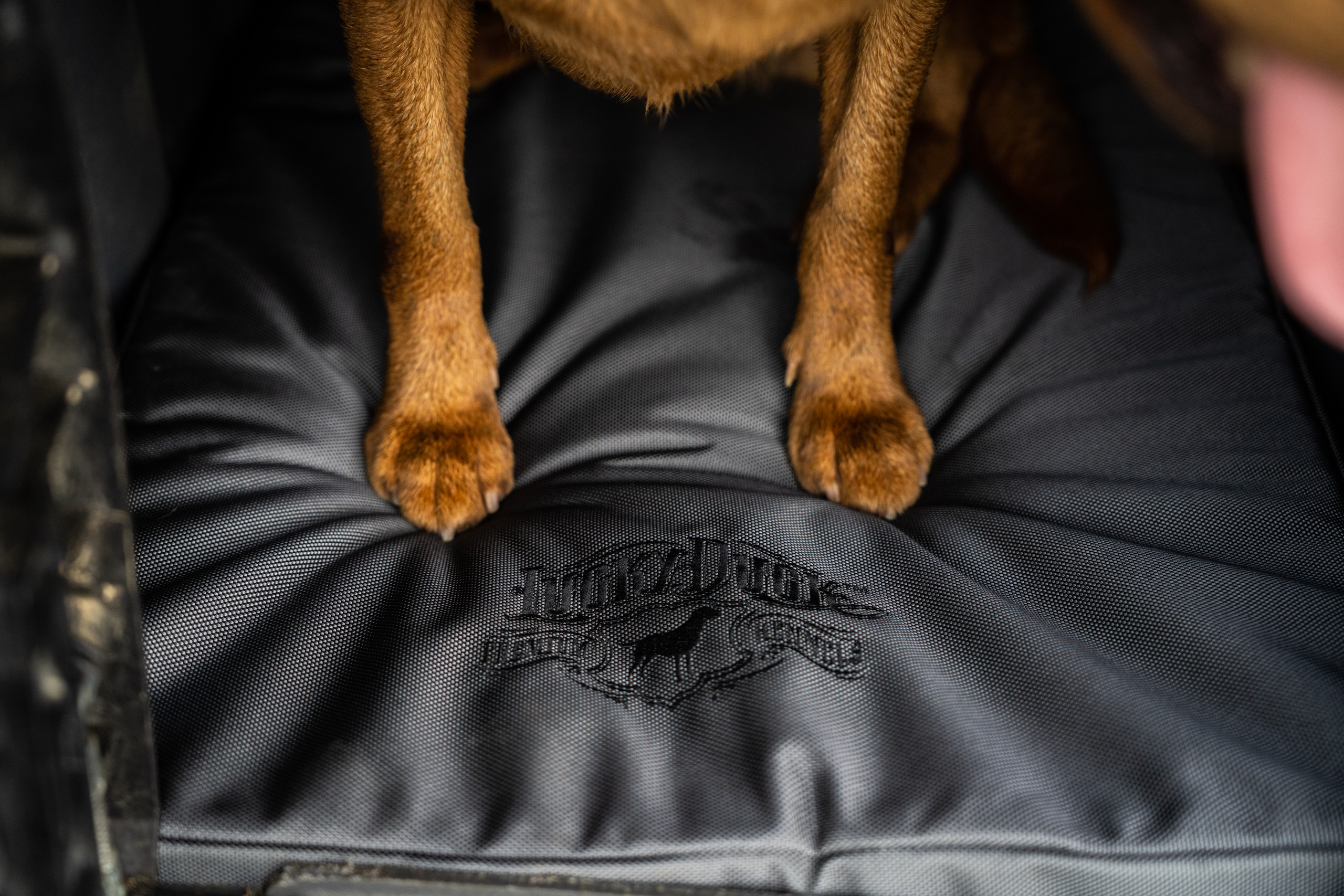 Kennel Pad Lucky Duck Premium Kennels