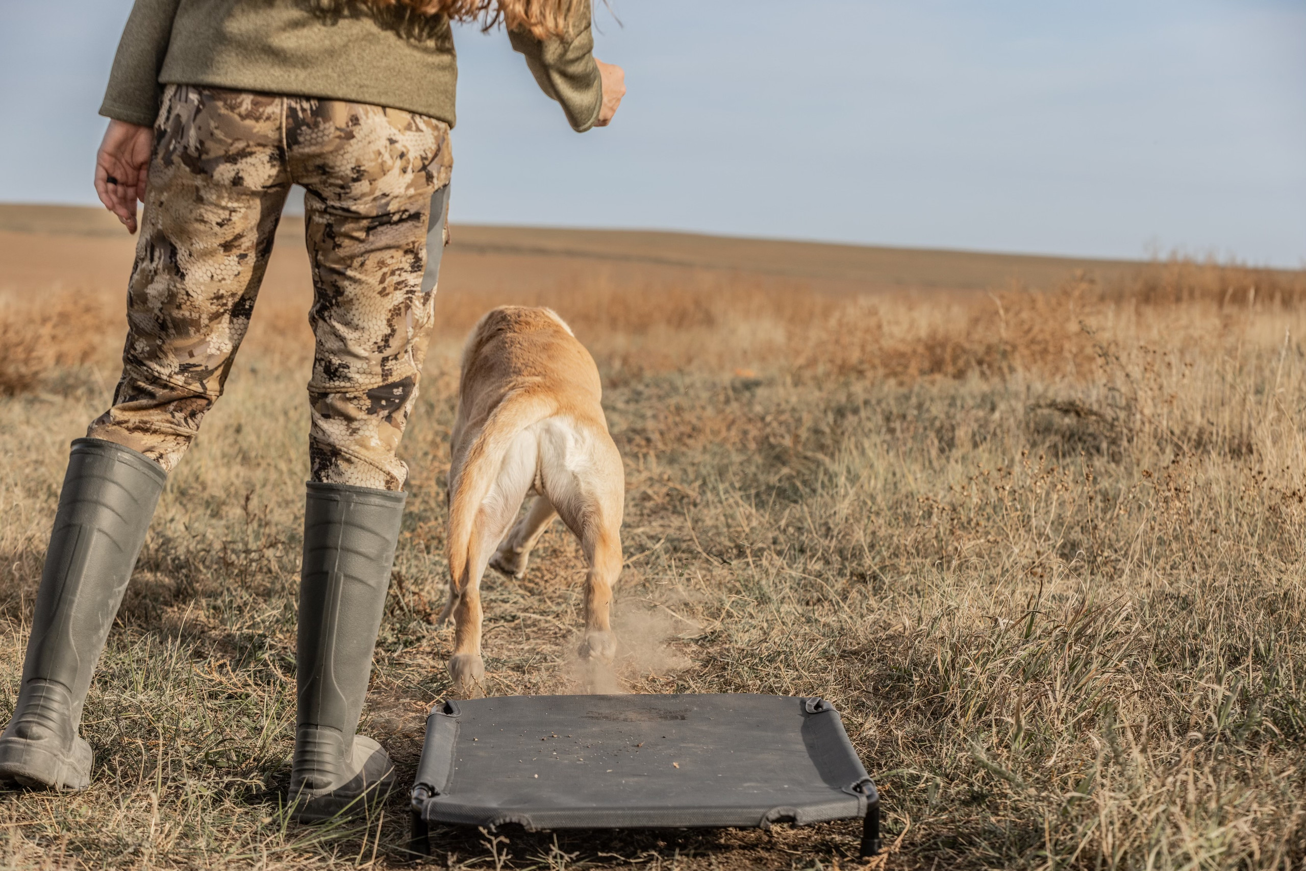 Kennel Cot Lucky Duck Premium Kennels