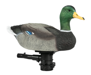 Lucky HDi Super Swimmer 2.0