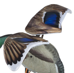 Mallard Flapper Wings