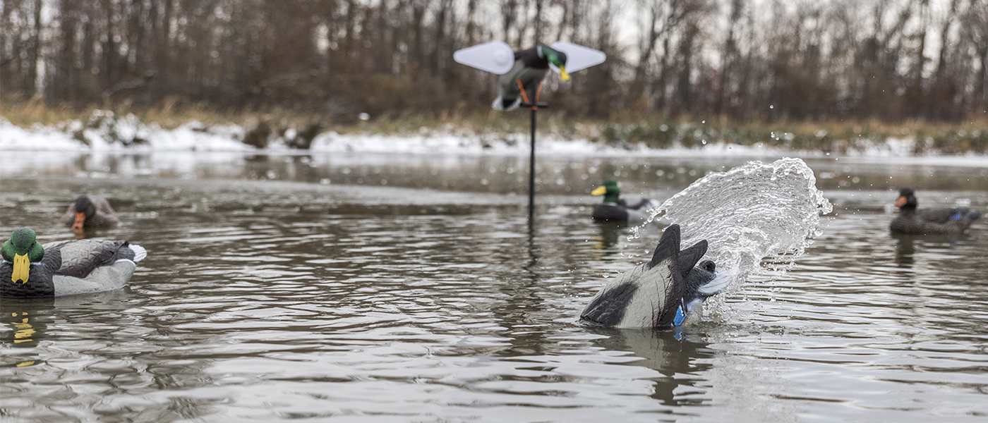 Luckys Yellow Rubber Ducky Inc