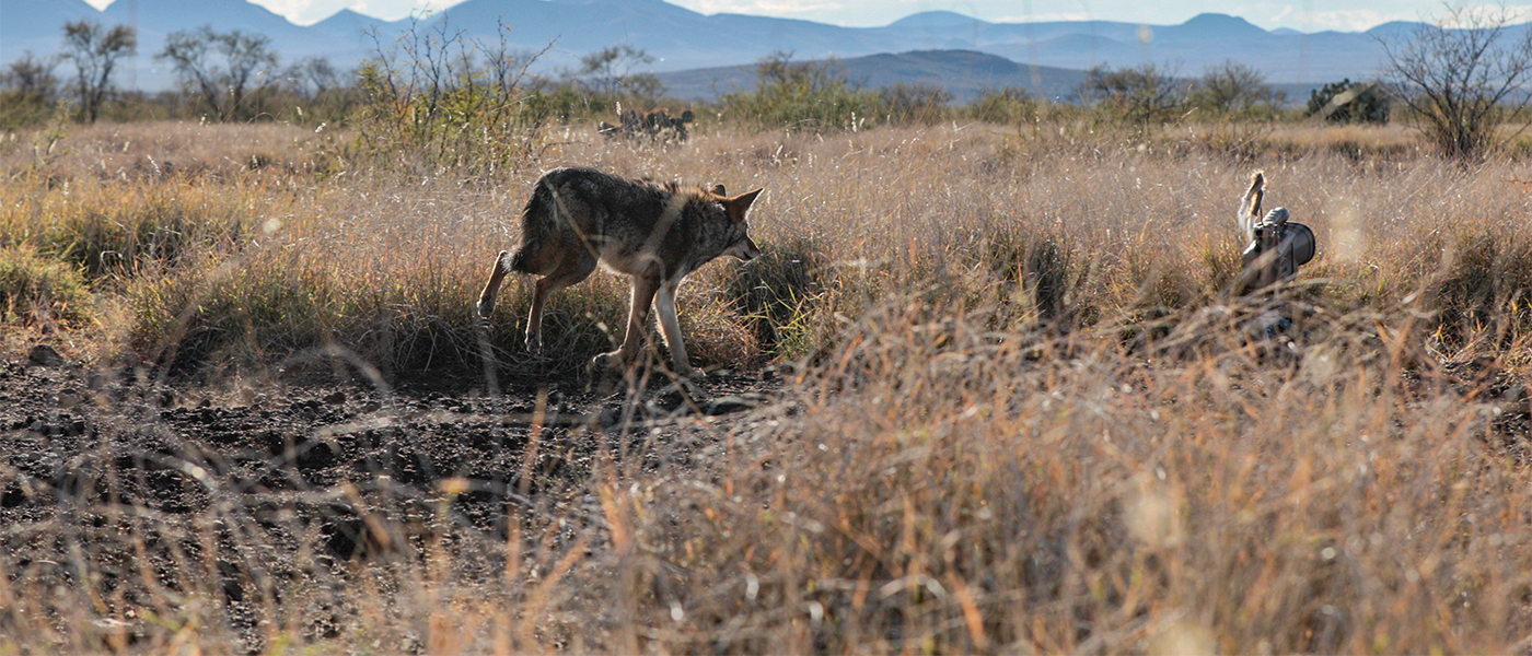 Luckys Yellow Rubber Ducky Inc