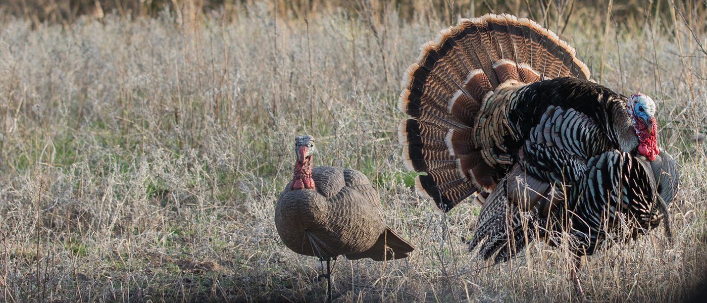 Lucky Duck Premium Decoys