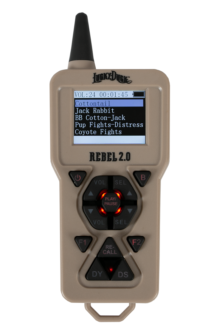 Rebel 2.0 