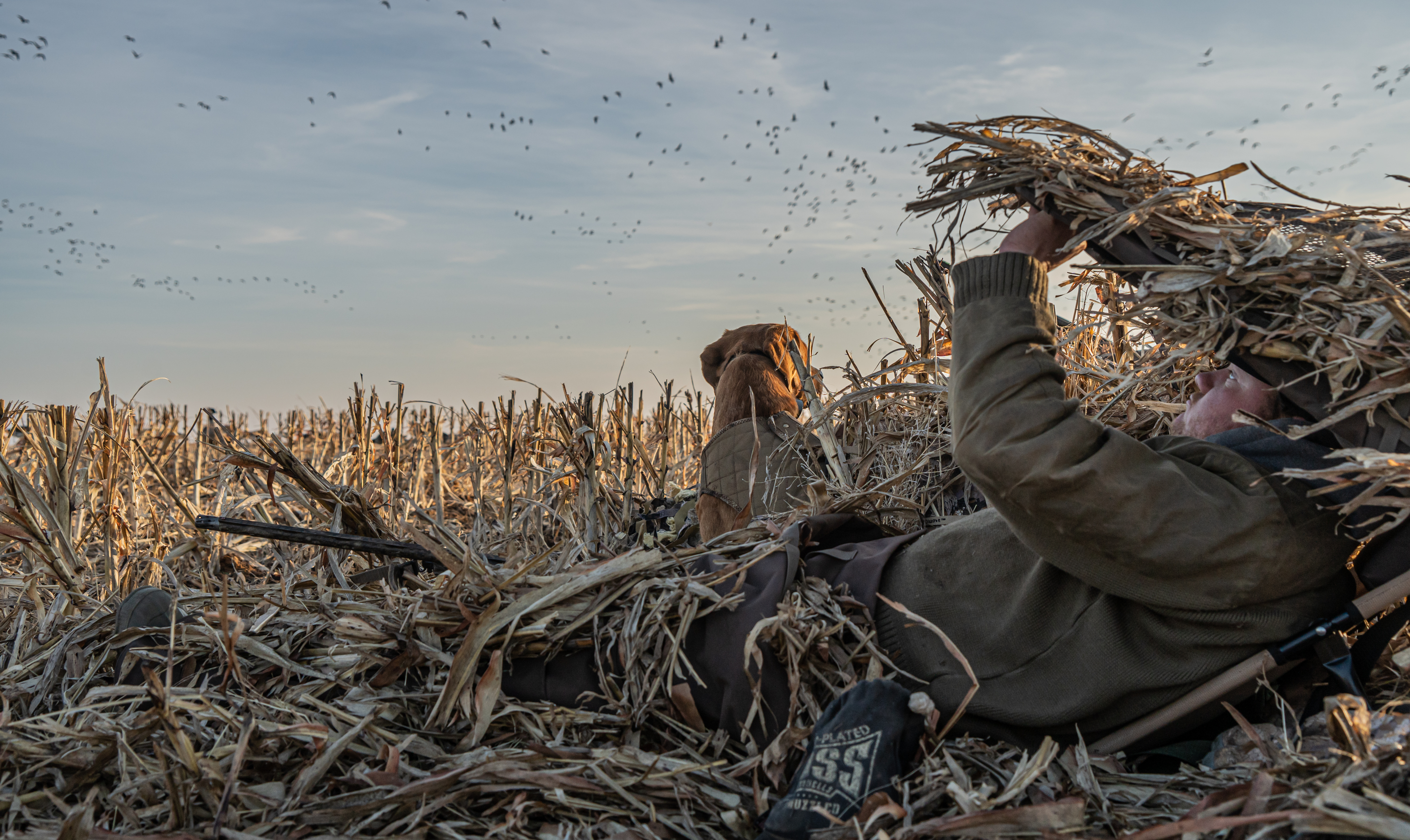 Gear Down Blind 3.0 - Tan Blanket