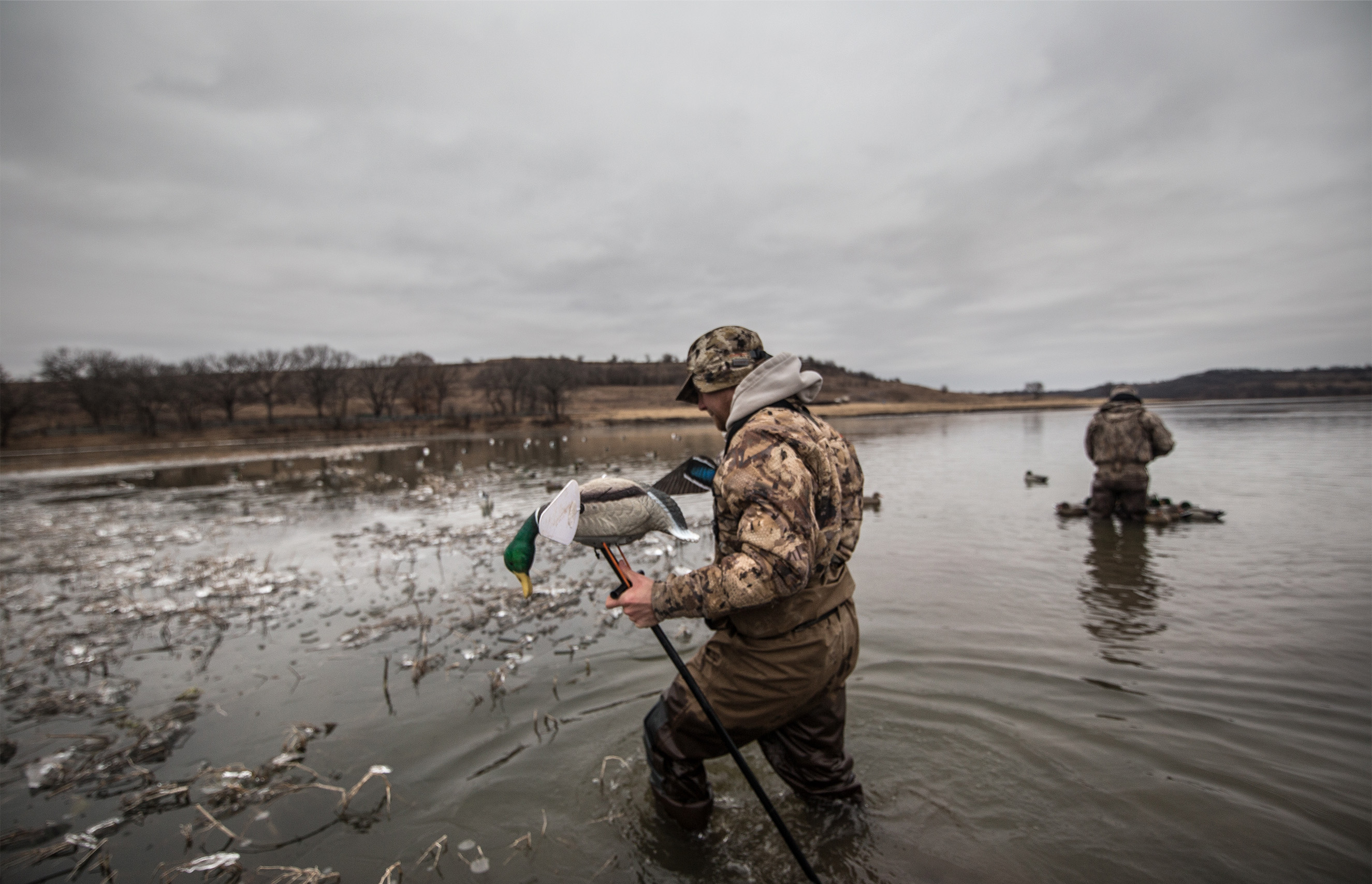 Limit Your Bag? Best Sc Duck Hunting Strategies - zuapw5k