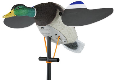 Lucky_Junior_II_6V__73477.