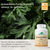 Provita - Artemisinin Forte - SAMPLE KIT - 3 Unit Bundle