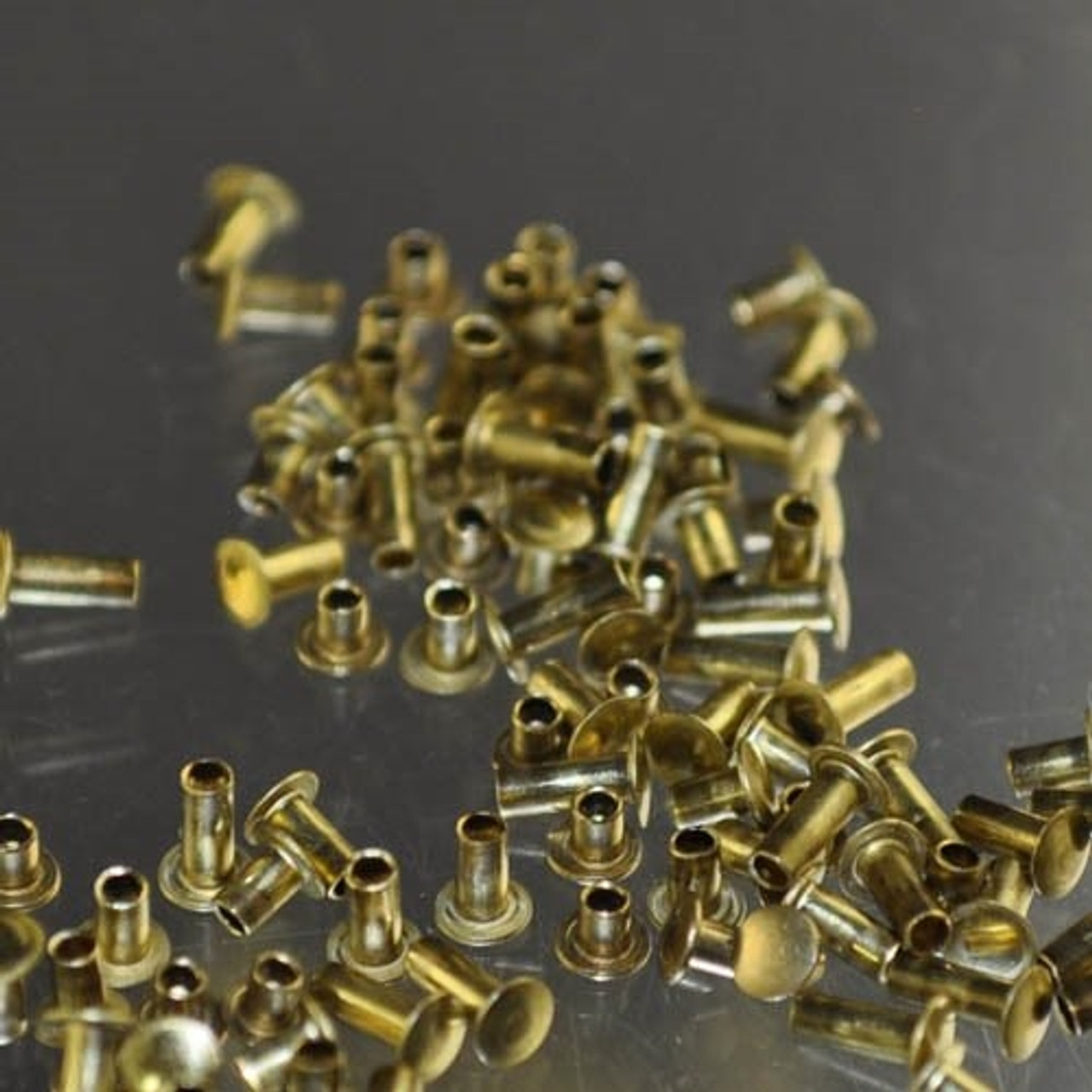 Brass Rivets