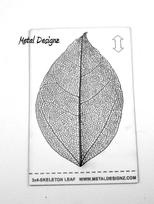 Laser Cut Texture Paper - Skeleton Leaf