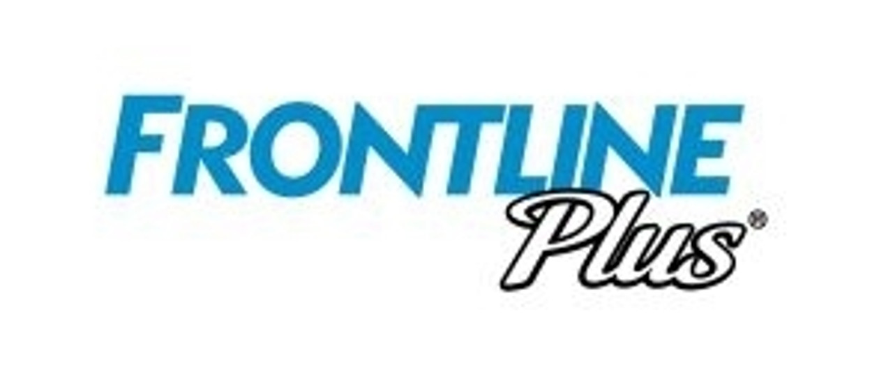 Frontline Frontline
