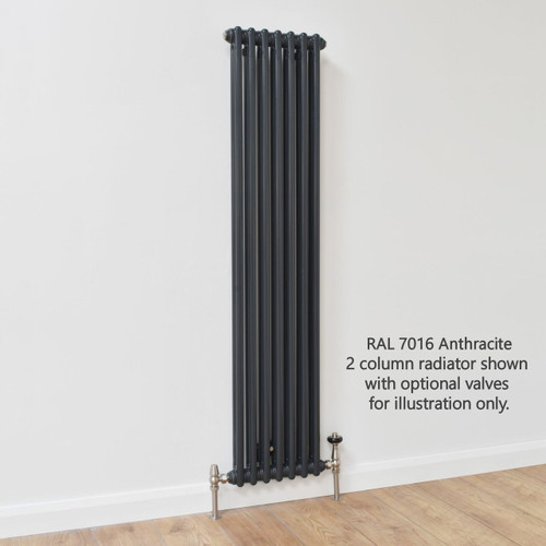 NF2-A-V-LS00 - Infinity Anthracite 2 Column Radiator 8 Sections H1100mm X W392mm
