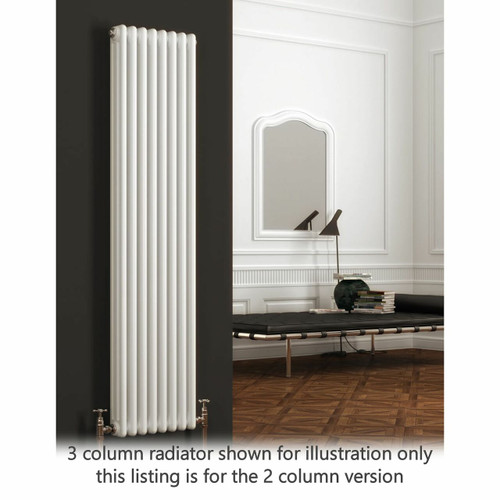 RE-2-C1800-LS00 - Reina Colona White 2 Column Radiator H1800mm x W290mm