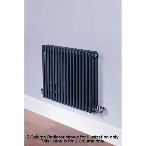 Next Day Infinity Anthracite 2 Column Radiator 26 Sections H600mm X W1220mm