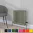 CT2-C-500-TH - Classic Colour 2 Column Radiator H500mm x W622mm CT2-C-500-TH - Classic Colour 2 Column Radiator H500mm x W622mm