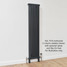 NF2-A-V-LS01 - Infinity Anthracite 2 Column Radiator 3 Sections H1500mm X W162mm NF2-A-V-LS01 - Infinity Anthracite 2 Column Radiator 3 Sections H1500mm X W162mm