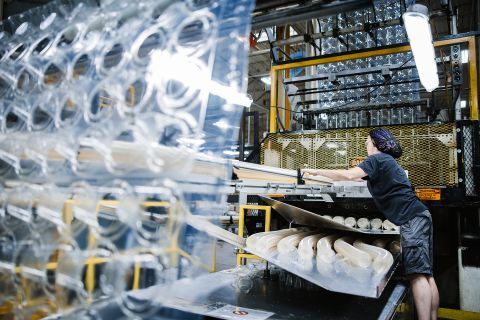 Team working at Novolex