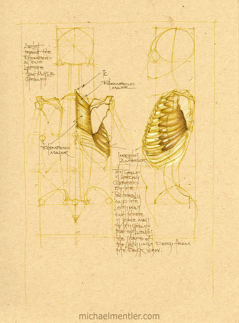 Sketchbook Journals CXXXV by Michael Mentler
13 in by 10 in, Archival Ink on French's Speckletone Paper