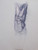 On this side of the paper, a torso of a figure depicted in a crucifixion pose. The arms and legs are omitted in this drawing, but their location is suggested.
