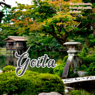 Goita, tradición japonesa