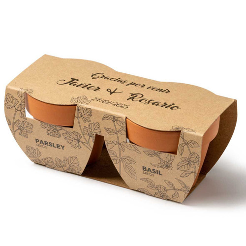 Macetas de aromáticas