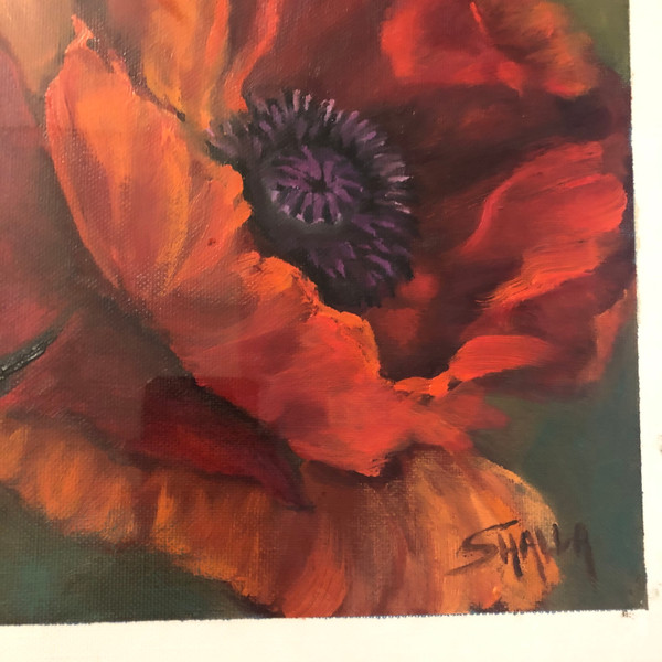 Poppies #1