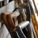 A Complete Guide To Growing Fruit Trees - Planting