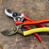 Roses FAQ - Rose Pruning
