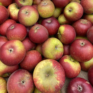 A Guide to Choosing Apples - Part One.