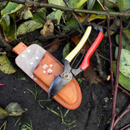 Winter Tasks in the Fruit Garden