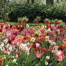 Colour Combinations  - Hot and Cold