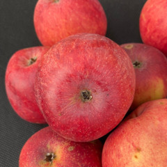 Apple - Kingston Black