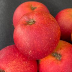Apple - Jane