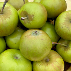 Apple - Vilberie