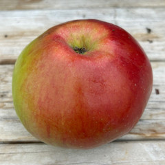 Apple - Wagener