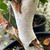 Betula utilis jaquemontii