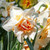 Narcissus 'Replete'