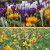 Naturalising Mixes  - Oxford