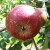 Apple - Brown's Crofton